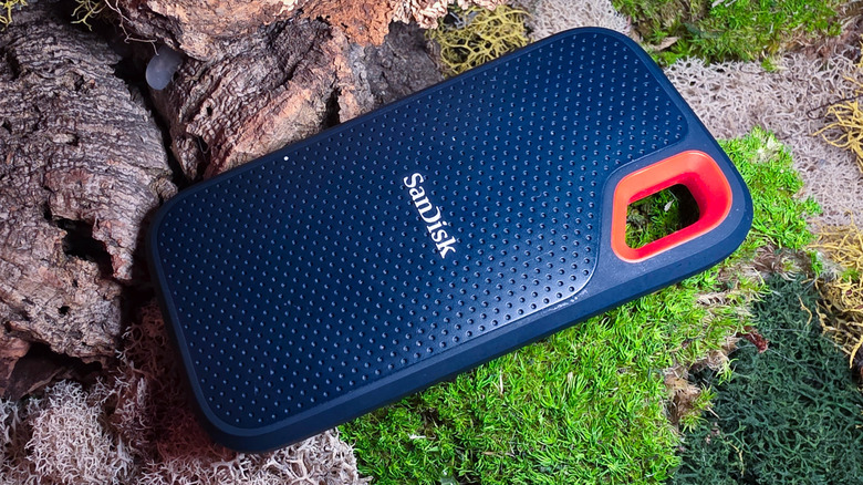 SSD SanDisk Extreme Pro на мшистом фоне