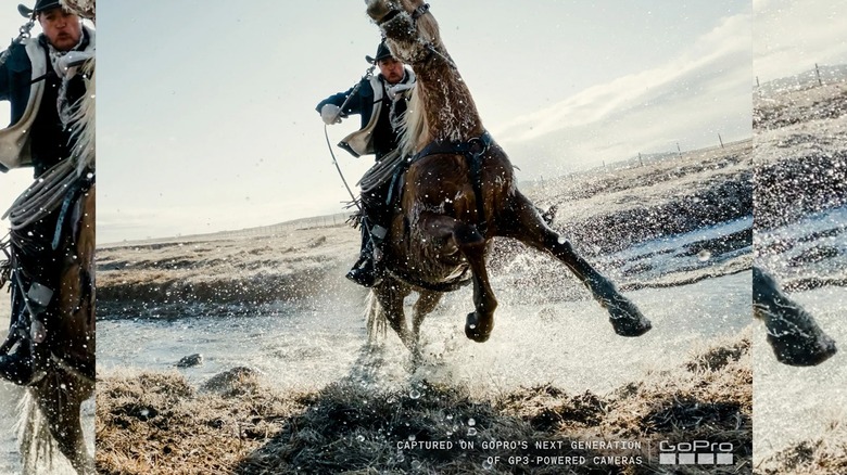 Лошадь и всадник переходят ручей.