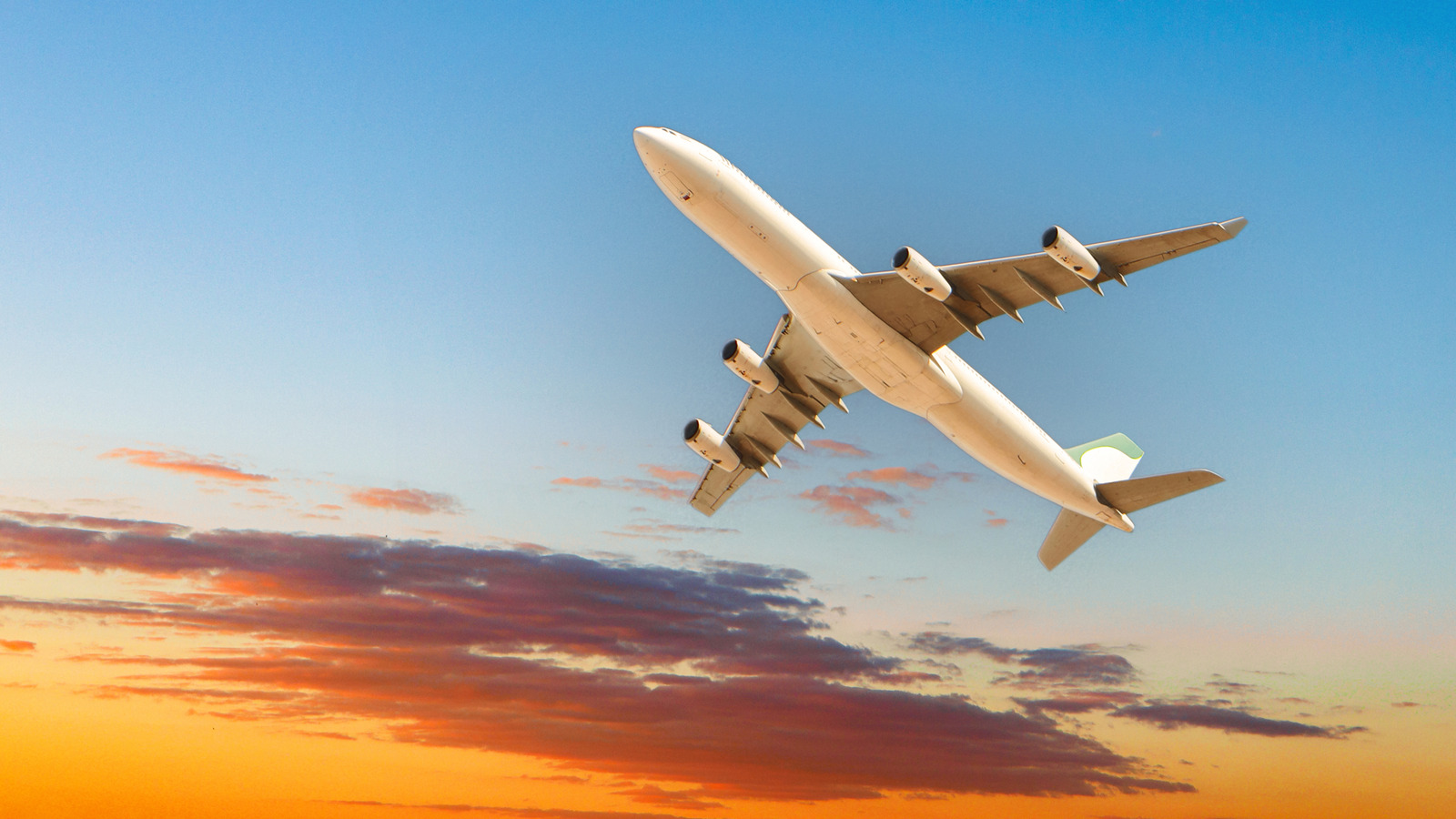 Предварительная проверка TSA предназначена только для граждан США?