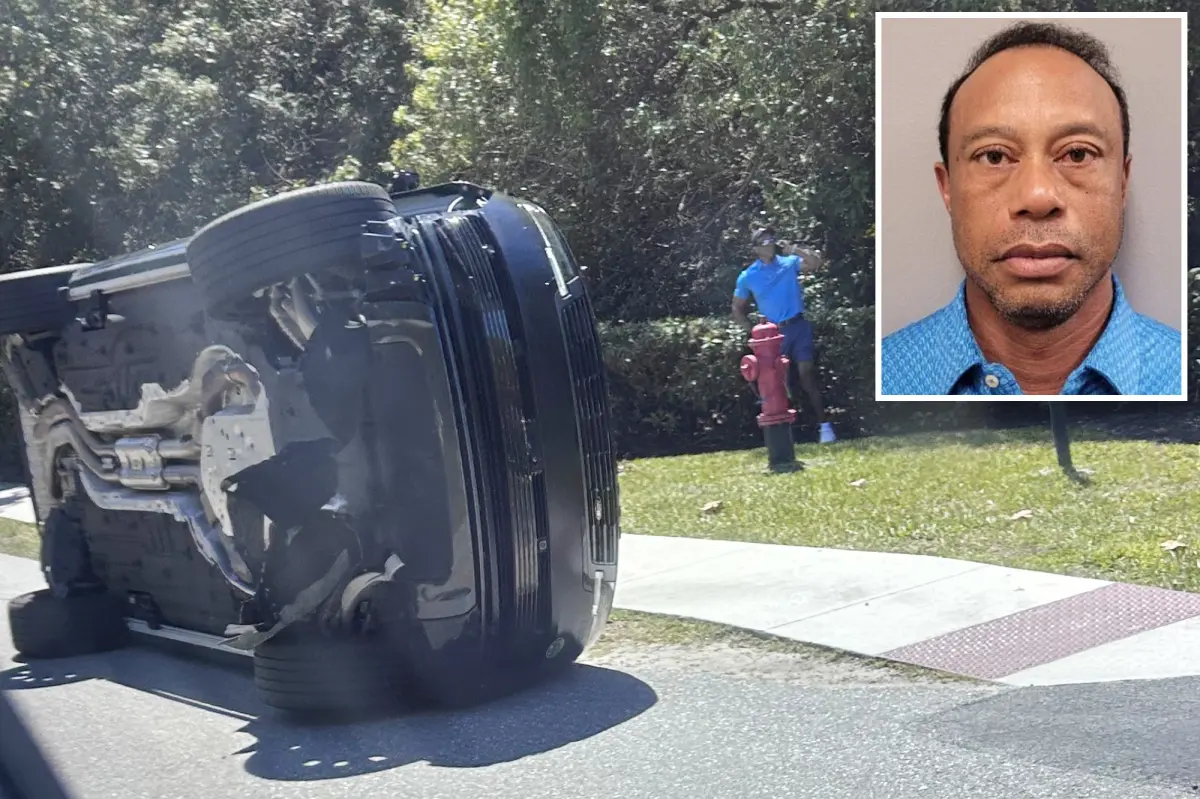 Тайгера Вудса нашли с таблетками гидрокодона во время ареста во Флориде