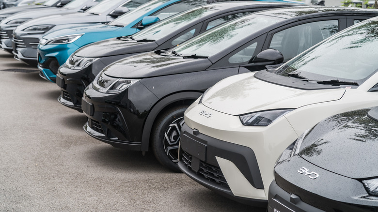 ряд автомобилей Byd