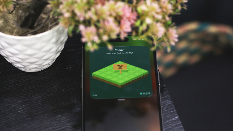 Виджет леса на главном экране iPhone