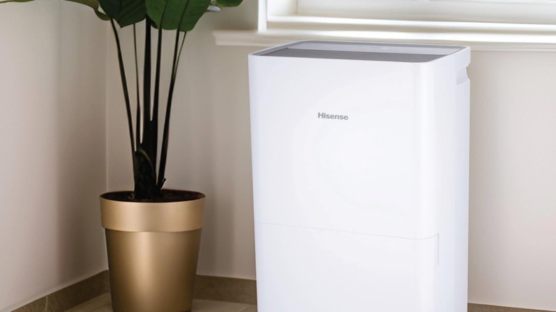 осушитель на столе