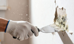 Вот простой способ проверить, нужен ли вам осушитель в гараже или доме