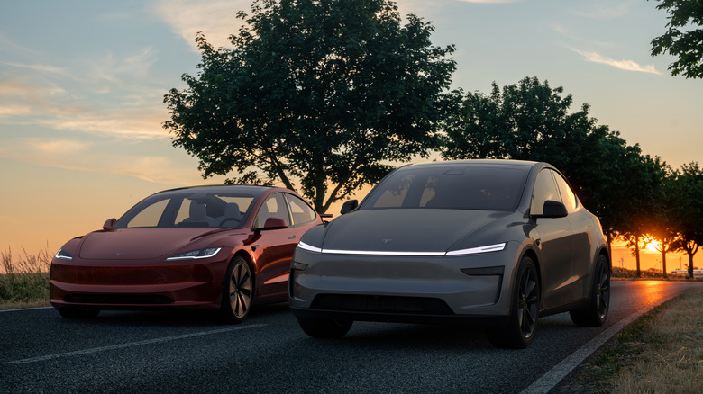 Tesla Model Y и Model S с закатом