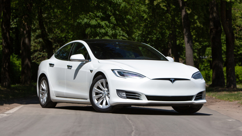 Белая Tesla Model S припаркована посреди сельской дороги.