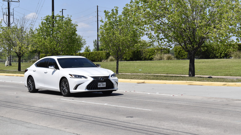 Белый Lexus ES едет по дороге, усеянной деревьями.