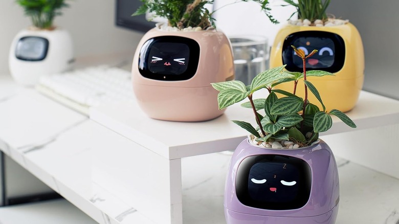 Разнообразие кашпо Plantsio Smart для домашних животных с разным внешним видом.