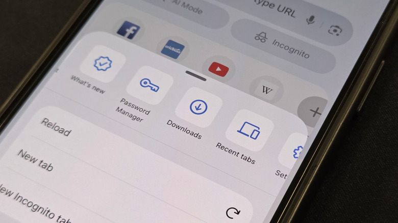 Параметр «Загрузки» в приложении Chrome открыт на iPhone 15.