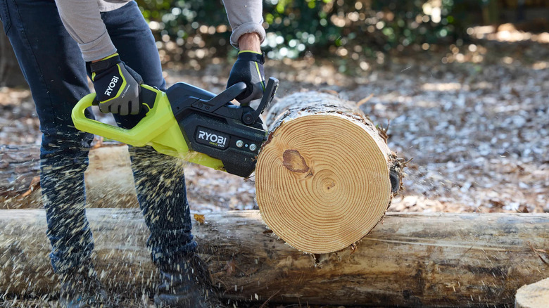 Ландшафтный дизайнер дома использует 14-дюймовую бензопилу Ryobi 18V One+ HP (PBLCW02K)