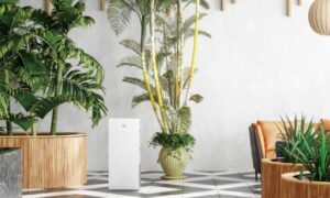 5 распространенных проблем с очистителями воздуха Daikin