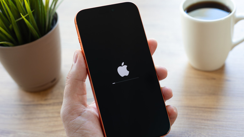 Включающийся iPhone с загрузочной планкой под ним рядом с небольшим растением в горшке и кофейной кружкой на деревянной поверхности.