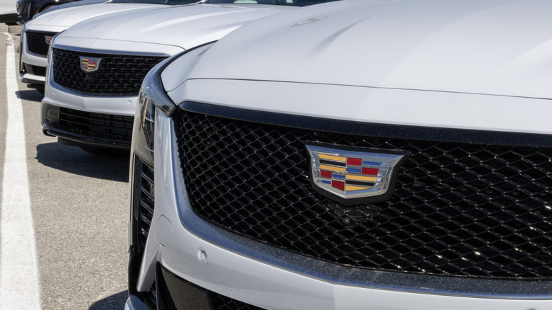 Крупный план решеток Cadillac CT5, припаркованных на стоянке дилерского центра.
