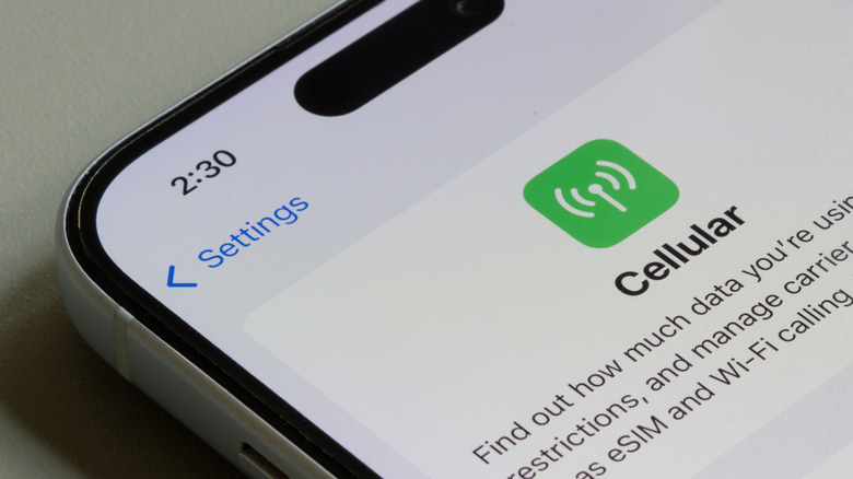 Страница настроек сотовой связи отображается на iPhone