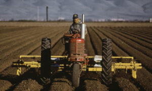 Почему International Harvester прекратила производство тракторов?